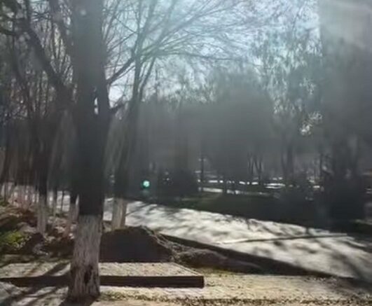 күнделікті тазалық жұмыстары