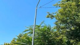 Шымкентте көше жарықтандыру жүйесі жаңғыртылуда