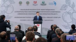 ірі жылыжай