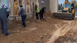 Қаратау ауданында кешкі аралау