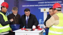 капсула завода