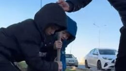 жасыл желек