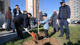 күзгі көшет отырғызу