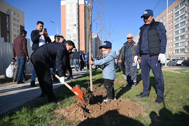 күзгі көшет отырғызу