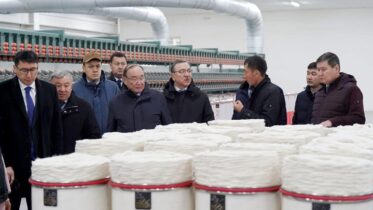 ауыл шаруашылығы өнімдерін