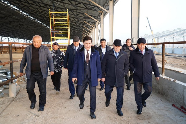 жаңа жобалармен