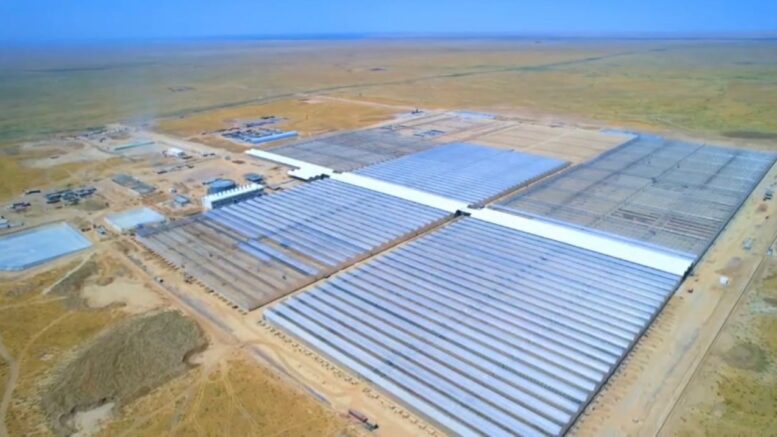 өнеркәсіптік жылыжай