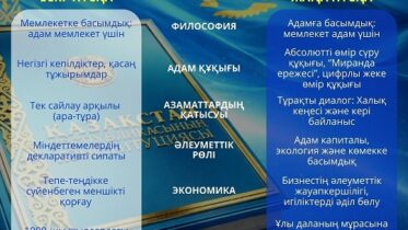 Конституция