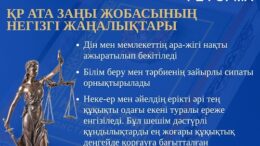 конституциялық реформа