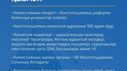 Конституциялық комиссия