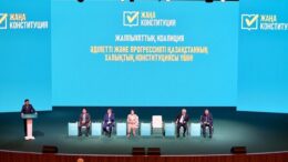 Жаңа Конституция