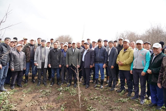 Жаңару күні Түркістан облысында «Мөлдір бұлақ»  экологиялық акциясы өтті