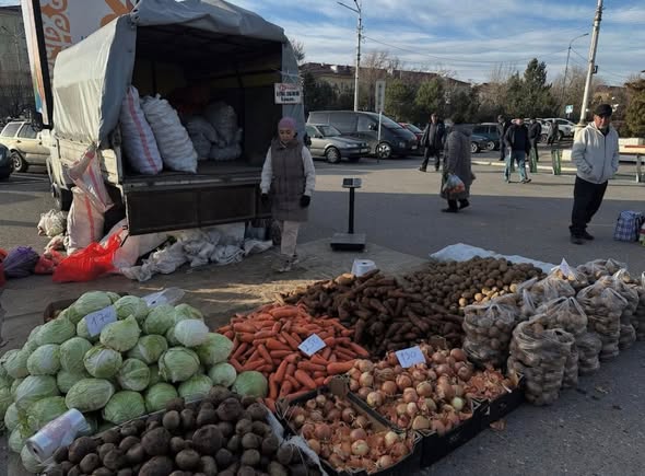 Түркістан облысында референдум күні азық-түлік жәрмеңкесі ұйымдастырылды