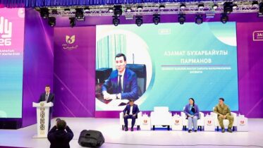 Халықаралық волонтерлер жылы