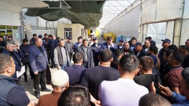 экологиялық тиімді