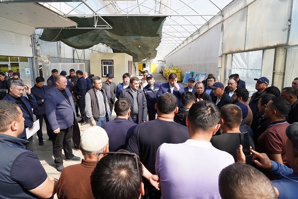 экологиялық тиімді